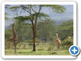 kenia_2006_2