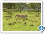 kenia_2006_4