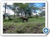 kenia_2006_9