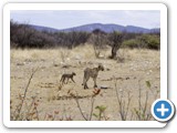 etosha_2011_09