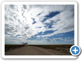 etosha_2011_20