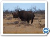 etosha_2011_23