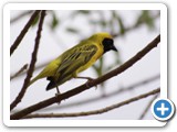 etosha_2011_24