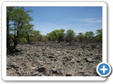 etosha_2011_35