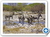 etosha_2011_38