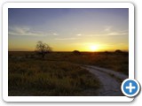 etosha_2011_60