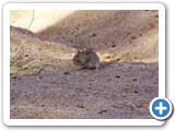 namib_2011_05