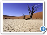namib_2011_23