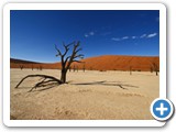 namib_2011_26