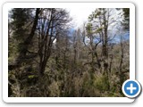 patagonien_011