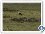 patagonien_034