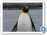 patagonien_142