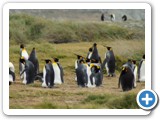 patagonien_156