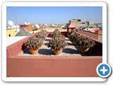 marrakesch_010